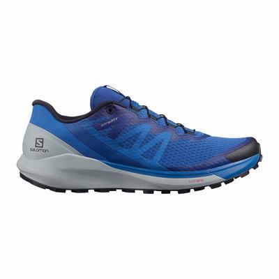 Salomon SENSE RIDE 4 - Miesten Juoksukengät - Sininen